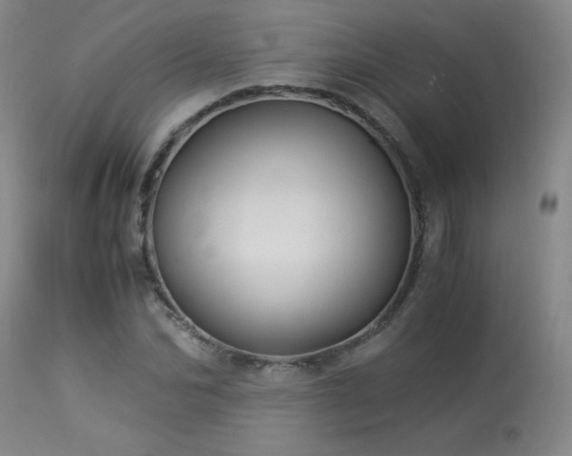 X0000114010974200910021337