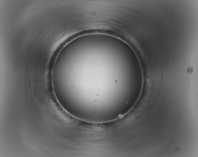 X0000114010975200910021337