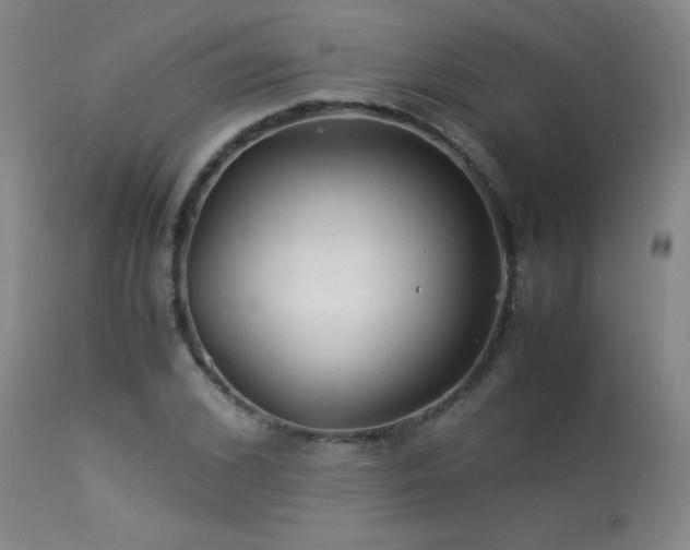 X0000114010976200910021337