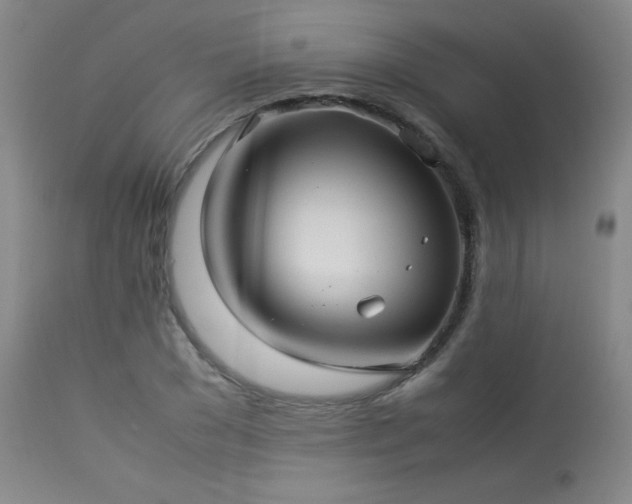 X0000114010977200910021337