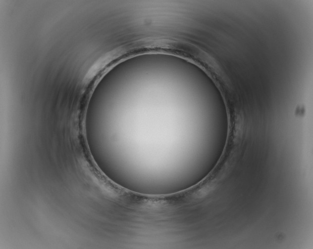 X0000114010978200910021337