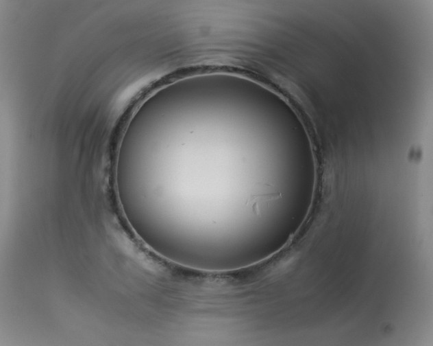 X0000114010979200910021337
