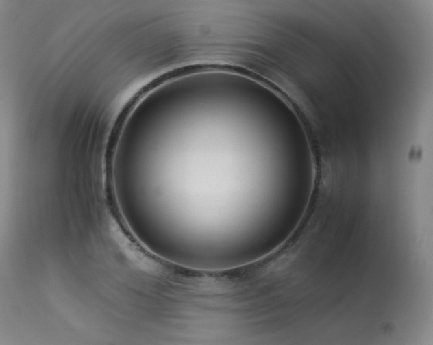 X0000114010980200910021337