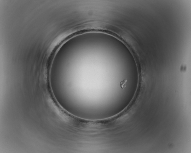 X0000114010981200910021337