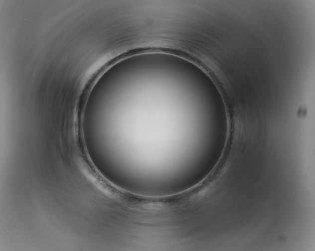 X0000114010982200910021337