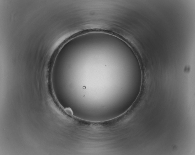 X0000114010983200910021337