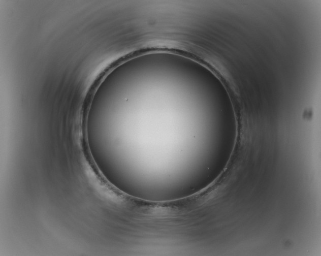 X0000114010984200910021337