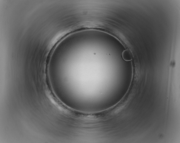 X0000114010986200910021337