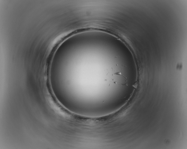 X0000114010987200910021337