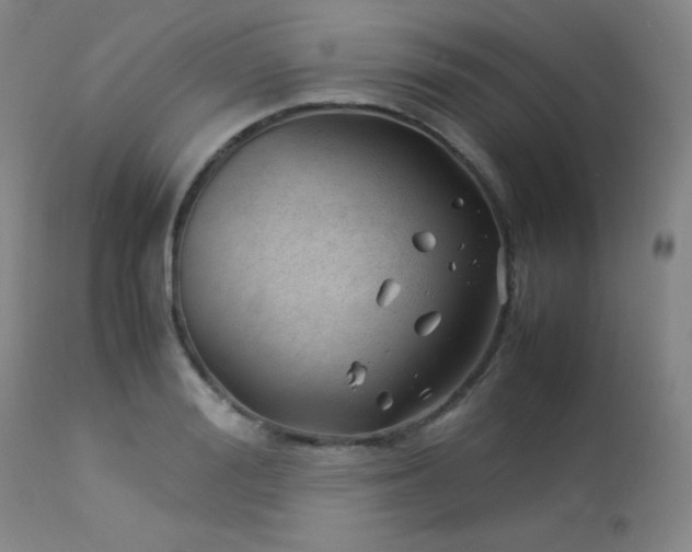X0000114010988200910021337