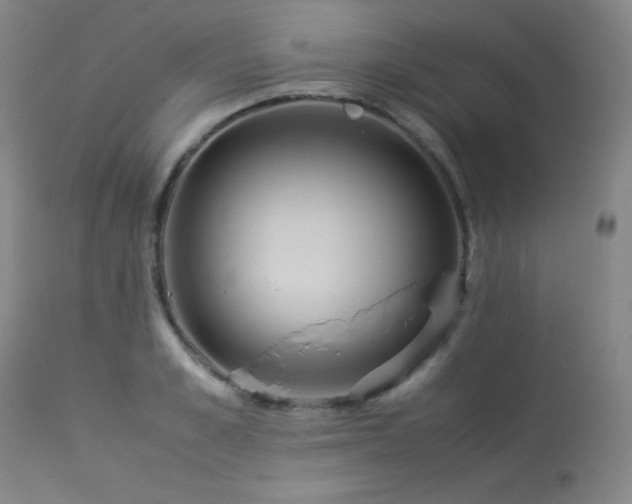 X0000114010989200910021337