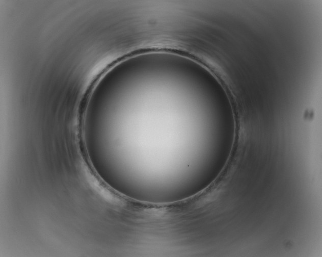 X0000114010990200910021337