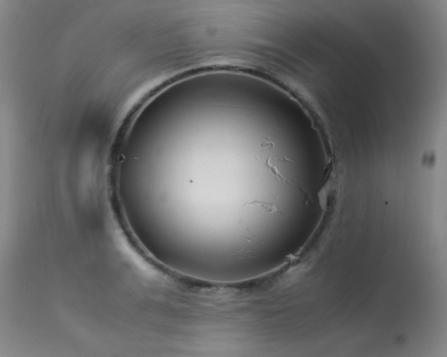 X0000114010991200910021337