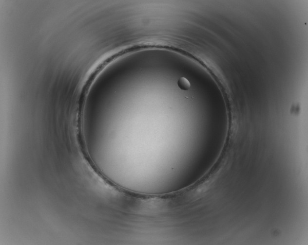 X0000114010992200910021337
