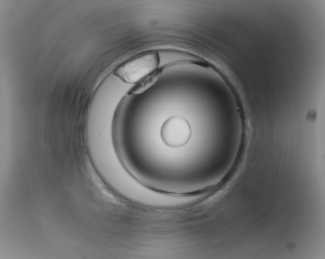X0000114010993200910021337