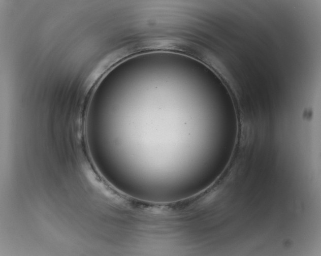 X0000114010994200910021337