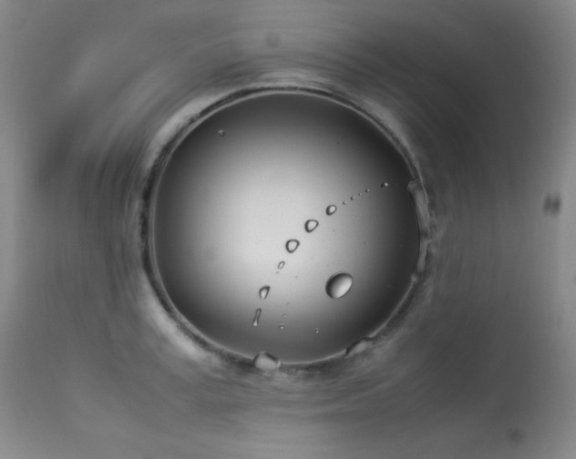 X0000114010995200910021337