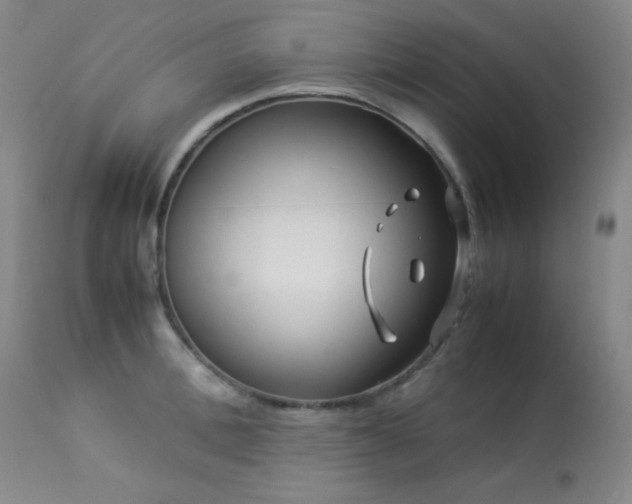 X0000114010996200910021337