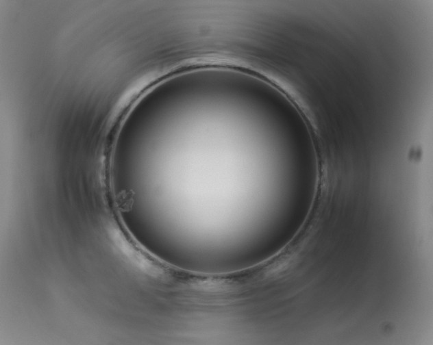 X0000114010998200910021337