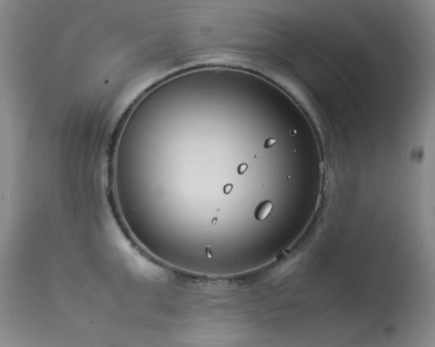 X0000114010999200910021337