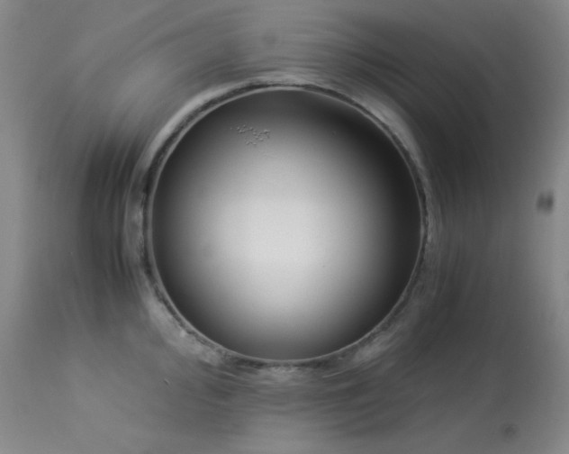 X0000114011000200910021337