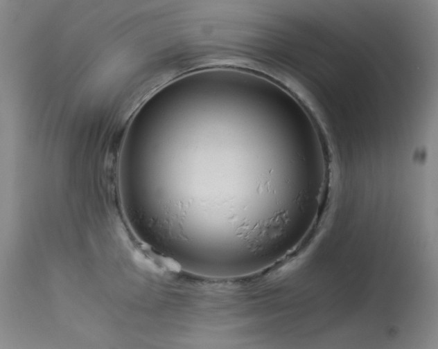 X0000114011001200910021337