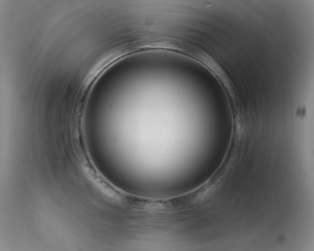 X0000114011002200910021337