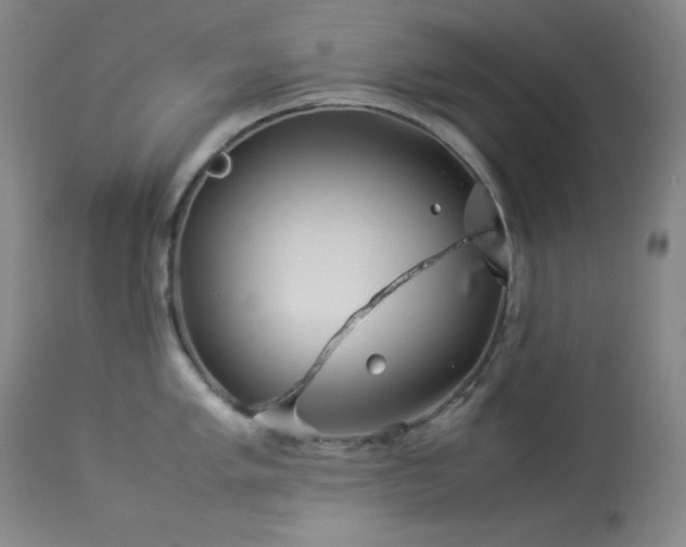 X0000114011005200910021337