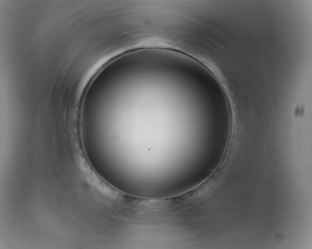 X0000114011008200910021337