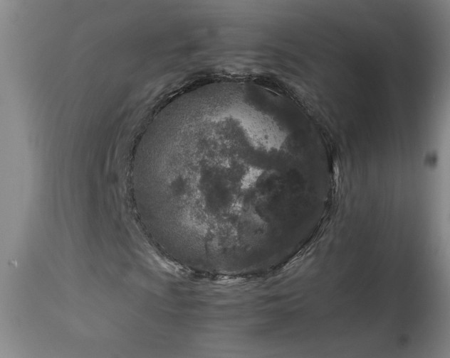 X0000114011009200910021336