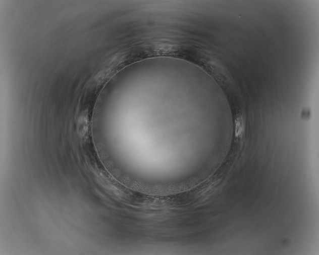 X0000114011011200910021336