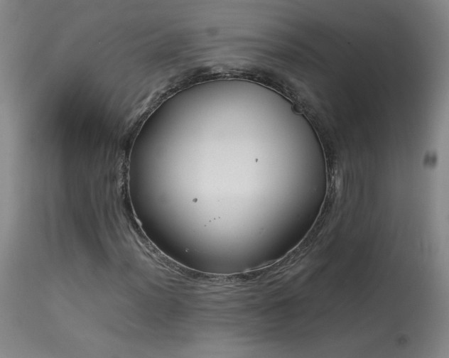 X0000114011012200910021336