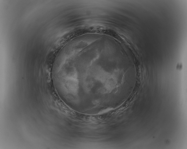 X0000114011013200910021336