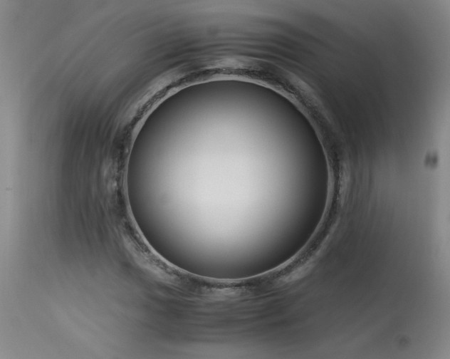 X0000114011017200910021336