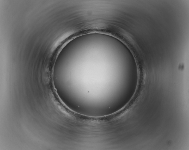 X0000114011018200910021336