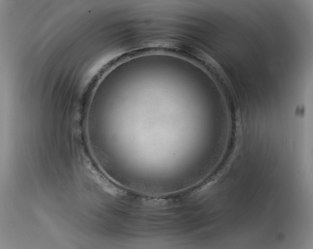 X0000114011019200910021336
