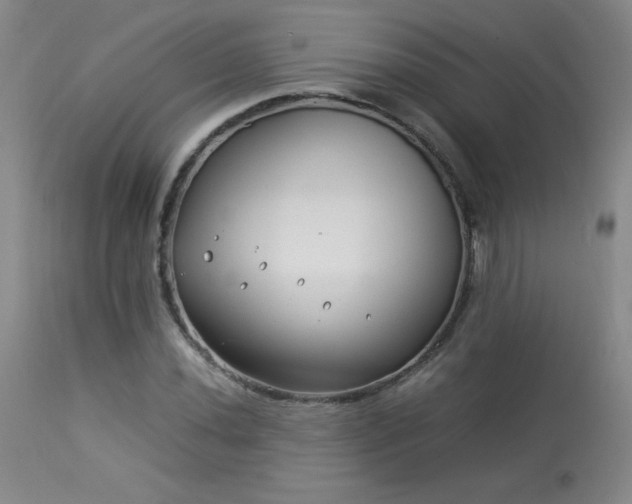X0000114011020200910021336