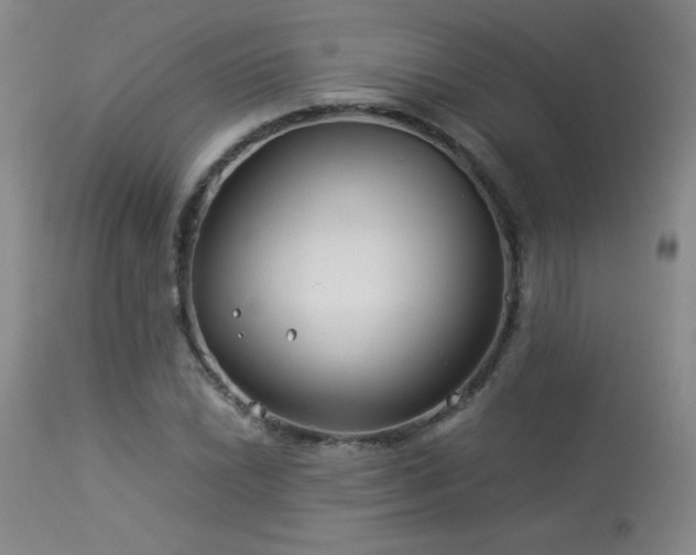 X0000114011022200910021336