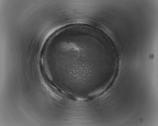 X0000114011024200910021336