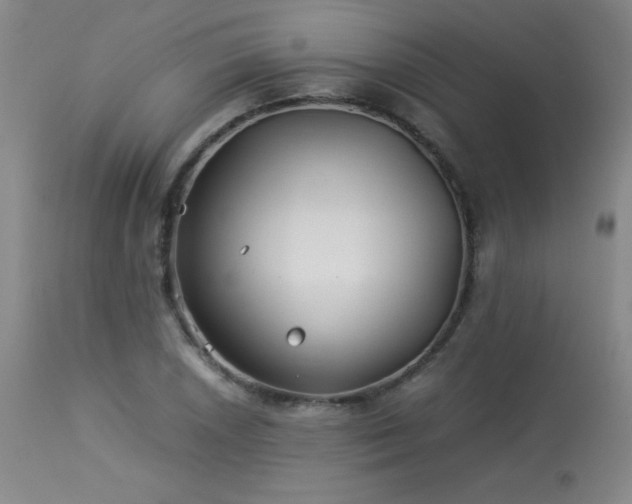 X0000114011026200910021336