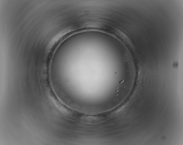 X0000114011027200910021336