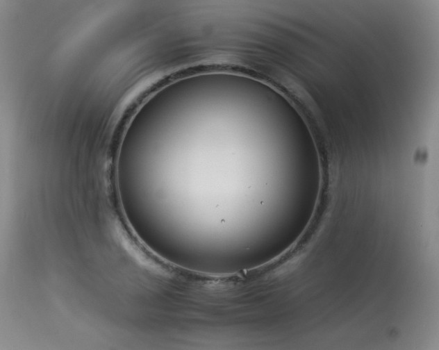 X0000114011029200910021336