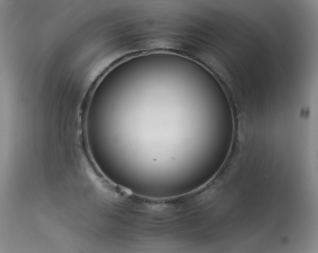 X0000114011031200910021336