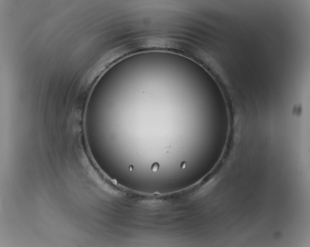 X0000114011033200910021336