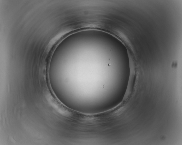 X0000114011035200910021336