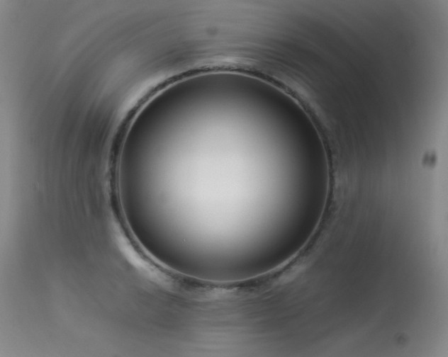 X0000114011038200910021337