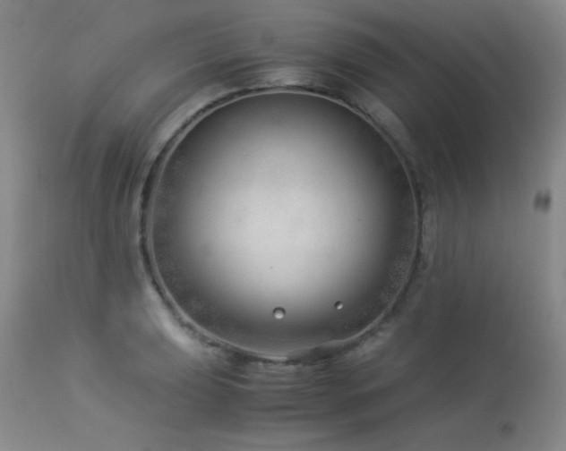 X0000114011039200910021337