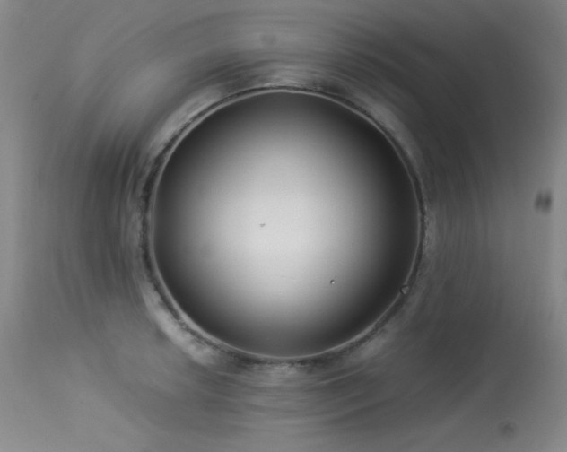 X0000114011042200910021337