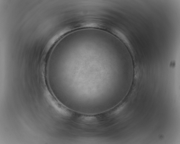 X0000114011043200910021337