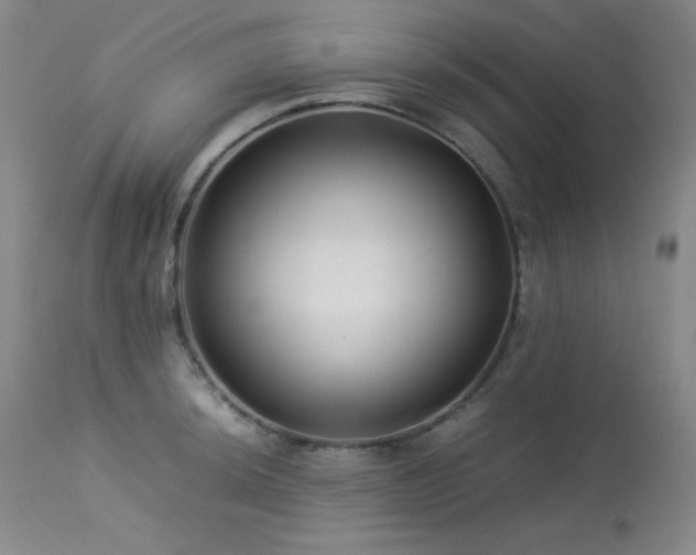 X0000114011044200910021337